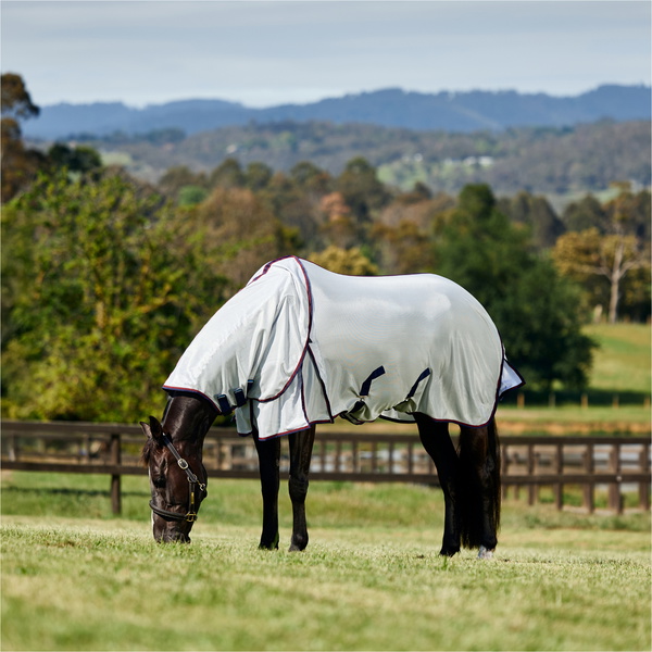 2026 WeatherBeeta Comfitec Airflow Detach-A-Neck Fly Sheet 1029973001 - Grey / Navy / Burgundy